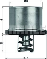 Mahle Sistem de racire motor Mahle TX 37 79 (MAHLETX3779)