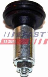 Fast Lucuri, Bonnete, Uși, Acoperiș Usi, piese Fast FT95521 - compatibil Renault, Opel (FASTFT95521)