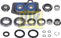 LuK Set reparatie LuK 462 0384 10 - compatibil Vw - LuK-462 0384 10 (LUK462038410)