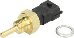 Delphi Unitate de control, Relee, Senzori Delphi TS10340 - compatibil Alfa, Fiat, Saab, Opel (DELPHITS10340)