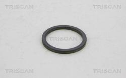 Triscan Control al dinamicii de rulare Triscan 8540 29407 - compatibil Audi, Seat, Vw, Skoda - Triscan-8540 29407 (TRISCAN854029407)