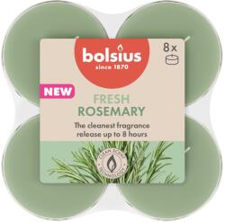 Bolsius Teamécses Maxi 8Db True Scents Rosemary