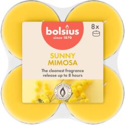 Bolsius Teamécses Maxi 8Db True Scents Mimosa