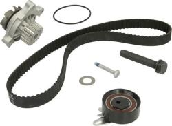 INA Set curea distributie INA 530 0173 30 (INA530017330)