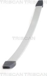 Triscan Arc foi Triscan 8765 10003 - compatibil Iveco - Triscan-8765 10003 (TRISCAN876510003)