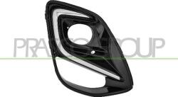 Prasco Elemente caroserie, Aripa, Bara protectie Bara protectie, piese Prasco FD6202123 (PRASCOFD6202123)