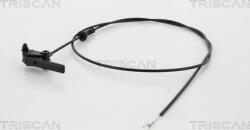 Triscan Lucuri, Bonnete, Uși, Acoperiș Capota fata, Piese, Izolare fonica Triscan 8140 28601 - compatibil Citroën, Peugeot - Triscan-8140 28601 (TRISCAN814028601)