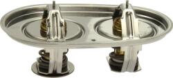 Mahle Sistem de racire motor Mahle TX 105 (MAHLETX105)