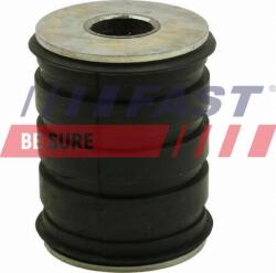 Fast Arc foi Fast FT13704 - compatibil Renault (FASTFT13704)