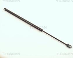 Triscan Amorizoare vibratii pe gaz Triscan 8710 1102 (TRISCAN87101102)