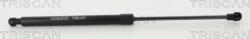 Triscan Amorizoare vibratii pe gaz Triscan 8710 25275 - compatibil Renault - Triscan-8710 25275 (TRISCAN871025275)