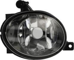 TYC Iluminari auxiliare, Elemente Proiectoare, Elemente TYC 19-0797-01-9 - compatibil Seat, Vw (TYC190797019)