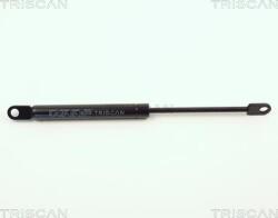 Triscan Amorizoare vibratii pe gaz Triscan 8710 1101 (TRISCAN87101101)