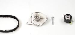 Hepu Set curea distributie Hepu PK09581 - compatibil Nissan, Renault, Suzuki (HEPUPK09581)