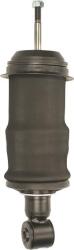 Monroe Cabina Suspensie cabina sofer Monroe CB0194 (MONROECB0194)