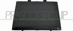 Prasco Elemente caroserie, Aripa, Bara protectie Bara protectie, piese Prasco PG5252105 - compatibil Peugeot (PRASCOPG5252105)
