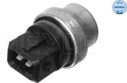 Meyle Unitate de control, Relee, Senzori Meyle 100 919 0024 (MEYLE1009190024)