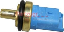 Metzger Unitate de control, Relee, Senzori Metzger 0905157 - compatibil Peugeot, Citroën, Fiat (METZGER0905157)