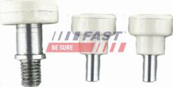 Fast Lucuri, Bonnete, Uși, Acoperiș Usi, piese Fast FT95536 - compatibil Renault, Opel, Vauxhall (FASTFT95536)