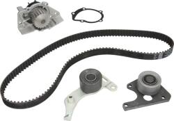 INA Set curea distributie INA 530 0096 30 (INA530009630)