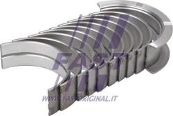 Fast Arbore cotit, angrenare Arbore cotit Fast FT46036/0 (FASTFT460360)