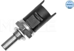 Meyle Unitate de control, Relee, Senzori Meyle 314 810 0001 (MEYLE3148100001)