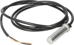 Delphi Control al dinamicii de rulare Delphi SS20209 (DELPHISS20209)