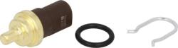Delphi Unitate de control, Relee, Senzori Delphi TS10283 (DELPHITS10283)