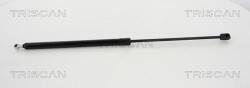 Triscan Amorizoare vibratii pe gaz Triscan 8710 20108 - compatibil Porsche - Triscan-8710 20108 (TRISCAN871020108)