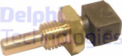 Delphi Unitate de control, Relee, Senzori Delphi TS10242-12B1 (DELPHITS1024212B1)
