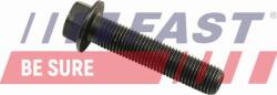 Fast Arbore cotit, angrenare Ansamblu biela Fast FT51651 - compatibil Peugeot, Fiat, Citroën (FASTFT51651)