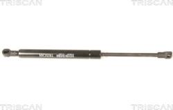 Triscan Amorizoare vibratii pe gaz Triscan 8710 29288 (TRISCAN871029288)