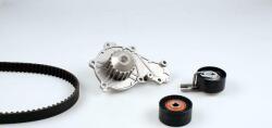 Hepu Set curea distributie Hepu PK08035 - compatibil Y60115010 (HEPUPK08035)