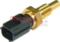 Metzger Unitate de control, Relee, Senzori Metzger 0905111 - compatibil Ford (METZGER0905111)