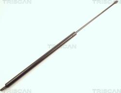 Triscan Amorizoare vibratii pe gaz Triscan 8710 29103 (TRISCAN871029103)