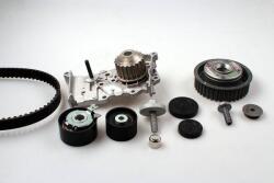 Hepu Set curea distributie Hepu PK08423 - compatibil 8200146297 (HEPUPK08423)