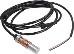 Delphi Control al dinamicii de rulare Delphi SS20210 (DELPHISS20210)