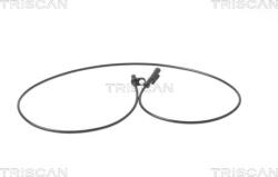 Triscan Control al dinamicii de rulare Triscan 8180 15108 - compatibil Iveco - Triscan-8180 15108 (TRISCAN818015108)