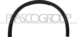 Prasco Elemente caroserie, Aripa, Bara protectie Aripa, piese Prasco AA7101581 (PRASCOAA7101581)