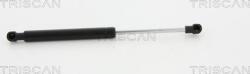 Triscan Amorizoare vibratii pe gaz Triscan 8710 23119 - compatibil Smart - Triscan-8710 23119 (TRISCAN871023119)