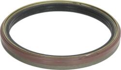DT Spare Parts Butuc roata, lagar Simering planetara DT Spare Parts 1.17205 (DTSPAREPARTS117205)