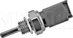 Meyle Unitate de control, Relee, Senzori Meyle 614 810 0001 (MEYLE6148100001)