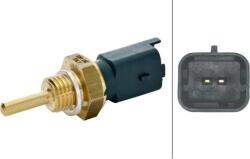 Hella Unitate de control, Relee, Senzori Hella 6PT 013 113-091 - compatibil Fiat, Abarth, Alfa, Saab - HELLA-6PT 013 113 (HELLA6PT013113091)