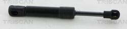 Triscan Amorizoare vibratii pe gaz Triscan 8710 20210 - compatibil Porsche - Triscan-8710 20210 (TRISCAN871020210)
