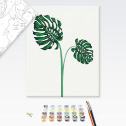Brushme Pictare conform numerelor monsteră tropicală - 40x50