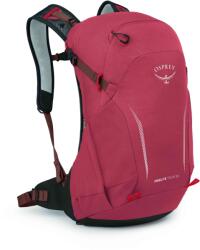 Osprey Hikelite tour 24