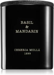 Cereria Mollá Basil & Mandarin 230 g