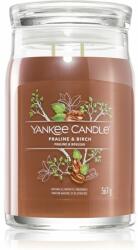 Yankee Candle Praline & Birch 567 g