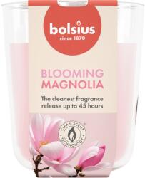 Bolsius Magnolia 45 h