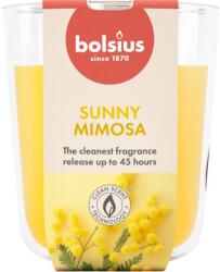 Bolsius Mimosa 45 h